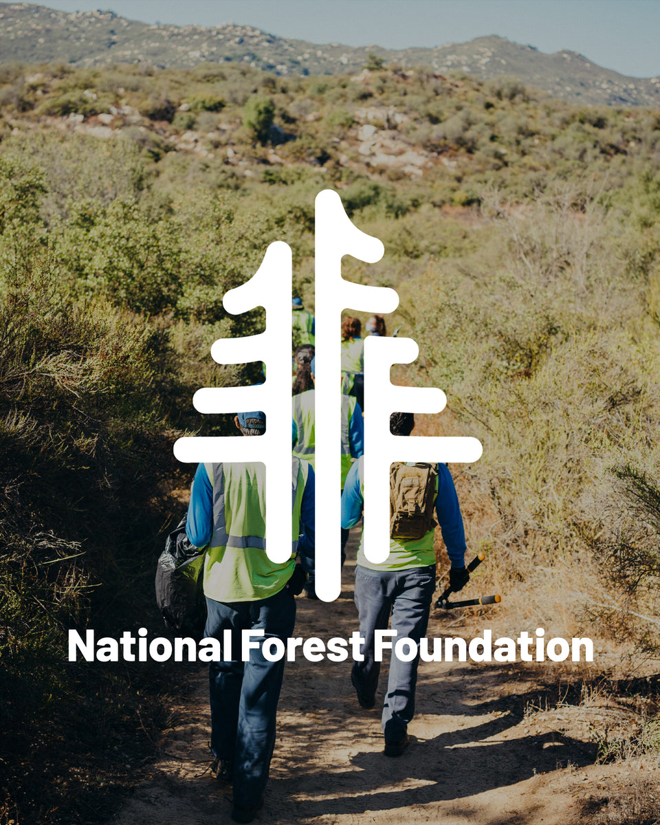 The National Forest Foundation
