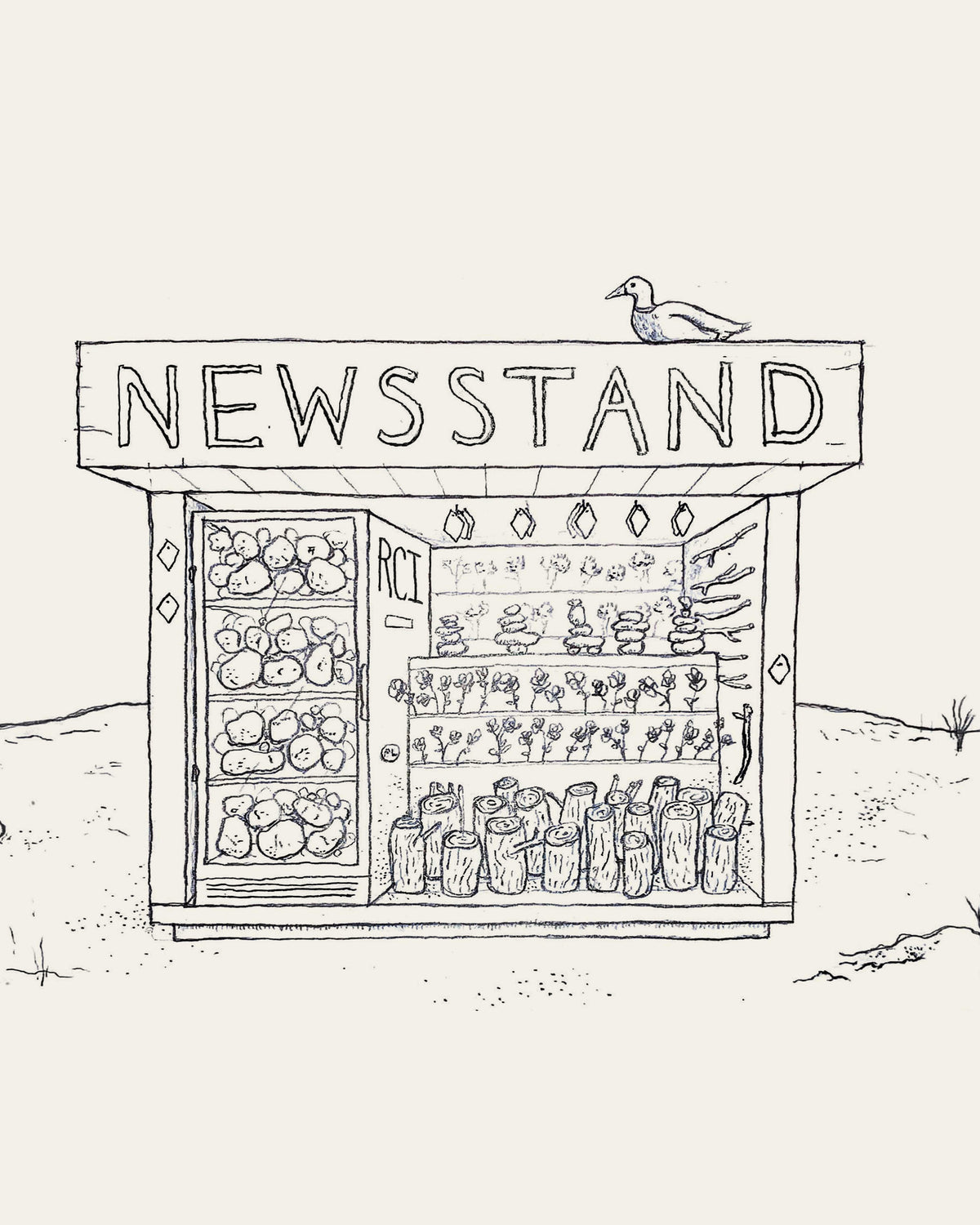 Welcome To Newsstand