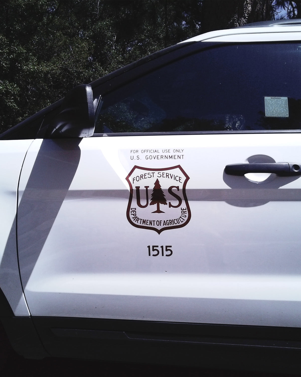 USDA Forest Service – REESE COOPER®